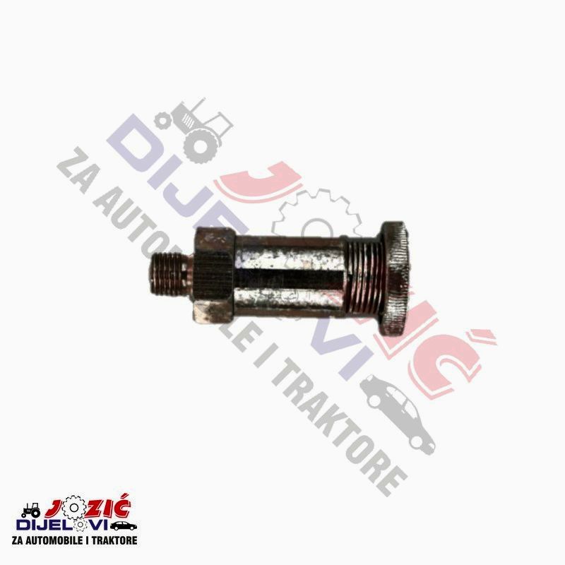 Daisy on the Ohoopee